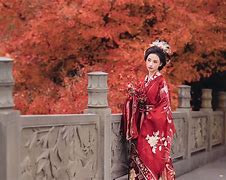 层林尽染手机版万山红遍层林尽染-第1张图片-太平洋在线下载