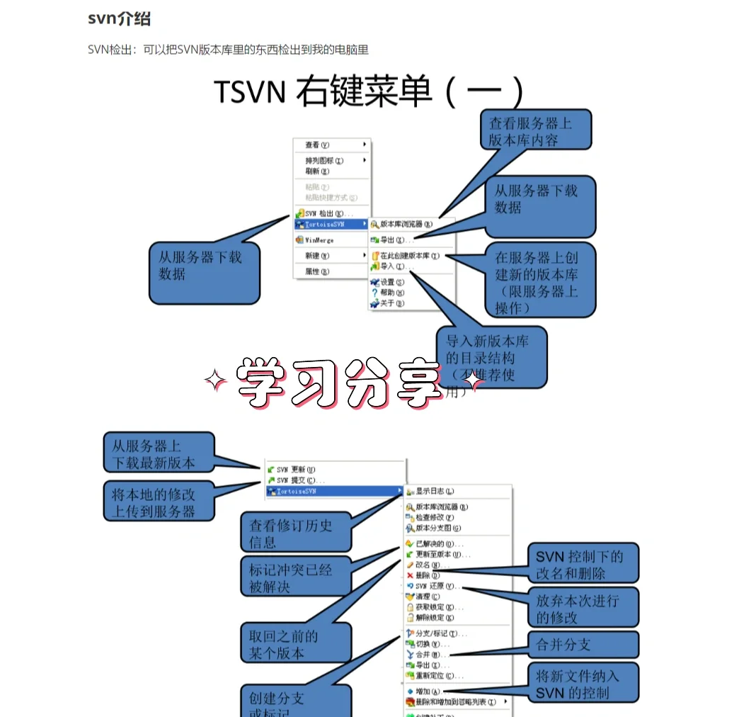 svn客户端使用svn客户端下载官网-第2张图片-太平洋在线下载