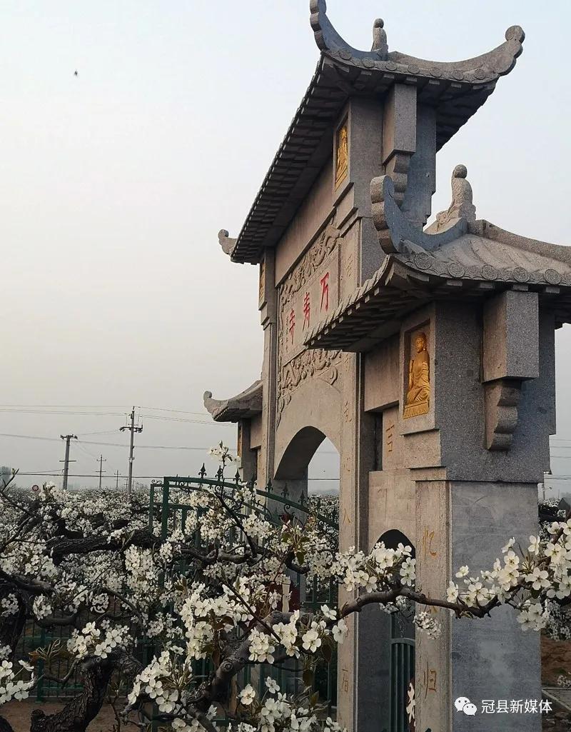 冠县媒体客户端冠县金融服务平台官网下载-第2张图片-太平洋在线下载
