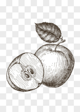 苹果插图手绘版下载高清电脑壁纸手绘插画-第2张图片-太平洋在线下载