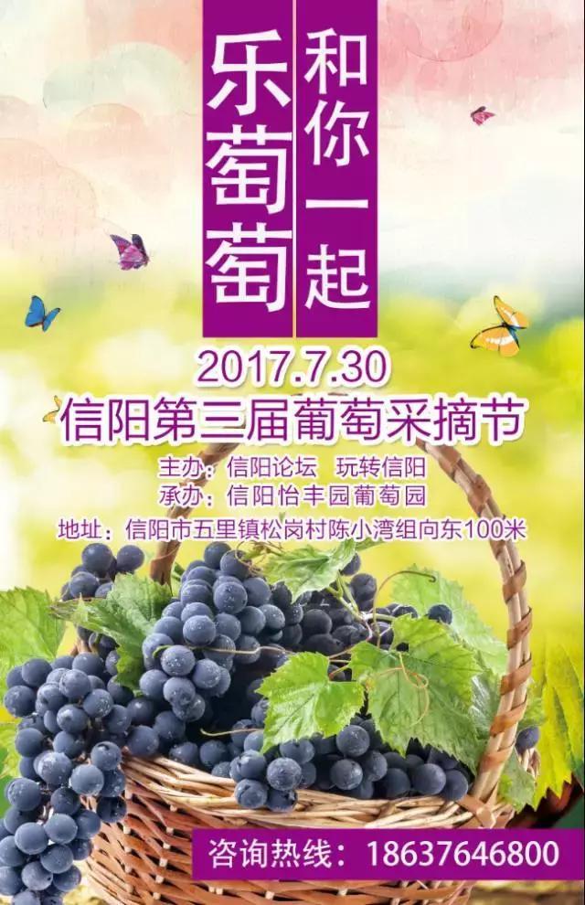 信阳论坛苹果版信阳论坛新闻头条
